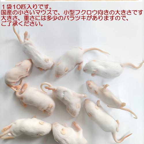 冷凍マウス 国産冷凍マウスホッパー10匹の販売情報イメージ2